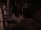 dsc00443_small.jpg